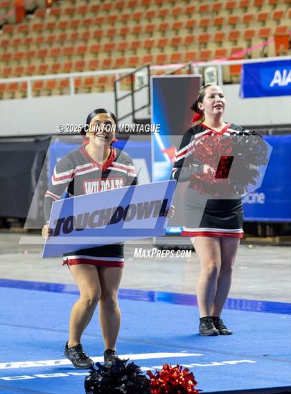 Thumbnail 3 in Morenci - Cheer (AIA Division IV Prelims) photogallery.