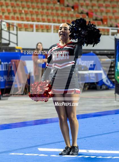 Thumbnail 1 in Morenci - Cheer (AIA Division IV Prelims) photogallery.