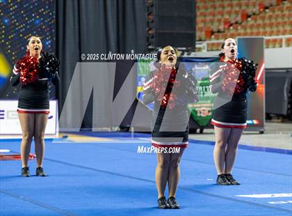 Thumbnail 1 in Morenci - Cheer (AIA Division IV Prelims) photogallery.