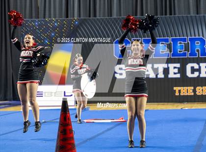 Thumbnail 2 in Morenci - Cheer (AIA Division IV Prelims) photogallery.