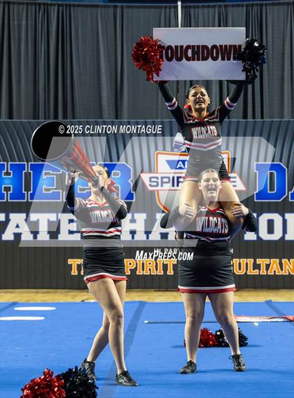 Thumbnail 2 in Morenci - Cheer (AIA Division IV Prelims) photogallery.
