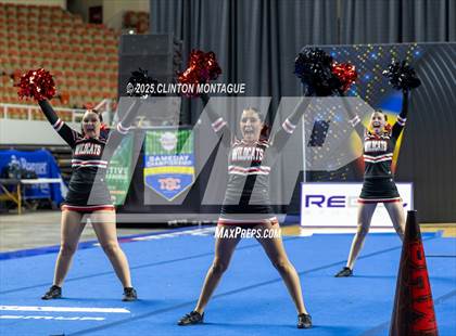 Thumbnail 3 in Morenci - Cheer (AIA Division IV Prelims) photogallery.