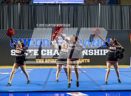 Thumbnail 1 in Morenci - Cheer (AIA Division IV Prelims) photogallery.