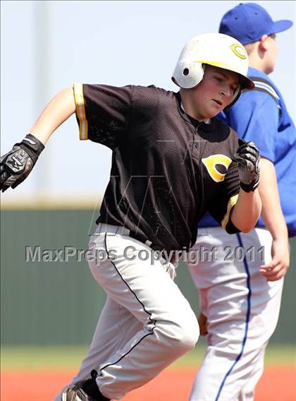 Thumbnail 3 in JV: Crandall @ Sunnyvale photogallery.