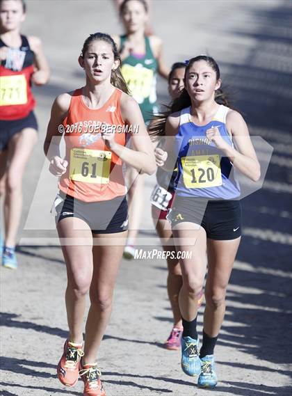 Thumbnail 2 in CIF State Cross Country Championships (D4 Girls Race) photogallery.