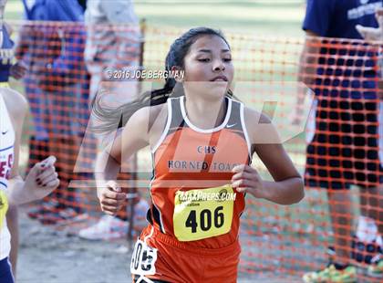 Thumbnail 2 in CIF State Cross Country Championships (D4 Girls Race) photogallery.