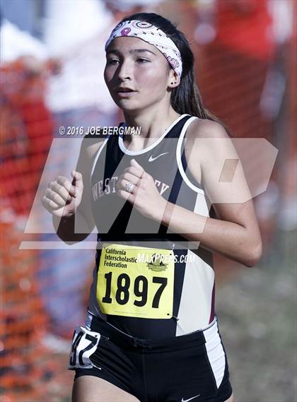 Thumbnail 2 in CIF State Cross Country Championships (D4 Girls Race) photogallery.