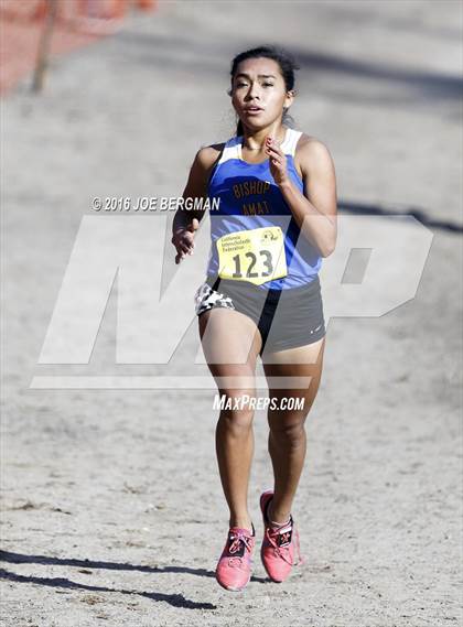 Thumbnail 1 in CIF State Cross Country Championships (D4 Girls Race) photogallery.