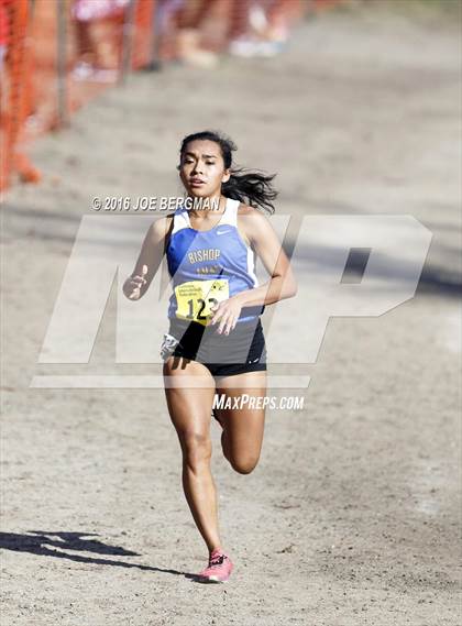 Thumbnail 2 in CIF State Cross Country Championships (D4 Girls Race) photogallery.