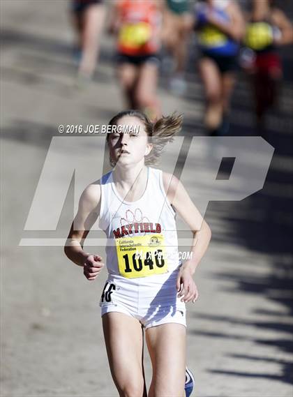 Thumbnail 1 in CIF State Cross Country Championships (D4 Girls Race) photogallery.