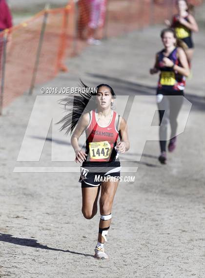 Thumbnail 1 in CIF State Cross Country Championships (D4 Girls Race) photogallery.