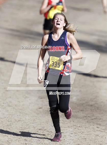 Thumbnail 1 in CIF State Cross Country Championships (D4 Girls Race) photogallery.