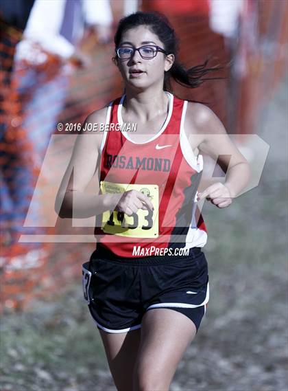 Thumbnail 3 in CIF State Cross Country Championships (D4 Girls Race) photogallery.