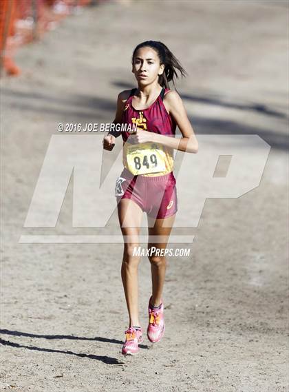 Thumbnail 1 in CIF State Cross Country Championships (D4 Girls Race) photogallery.