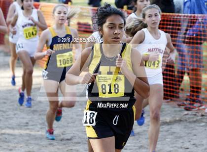 Thumbnail 1 in CIF State Cross Country Championships (D4 Girls Race) photogallery.