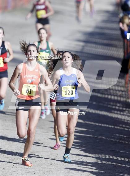 Thumbnail 1 in CIF State Cross Country Championships (D4 Girls Race) photogallery.