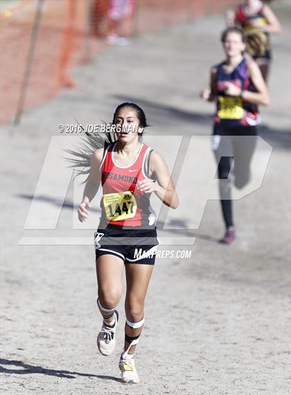 Thumbnail 2 in CIF State Cross Country Championships (D4 Girls Race) photogallery.