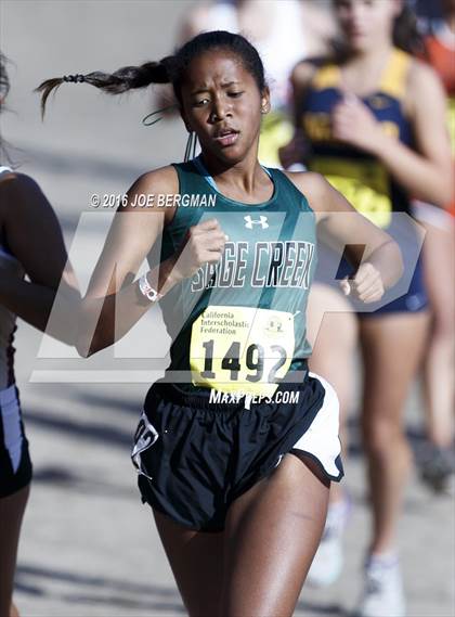 Thumbnail 1 in CIF State Cross Country Championships (D4 Girls Race) photogallery.