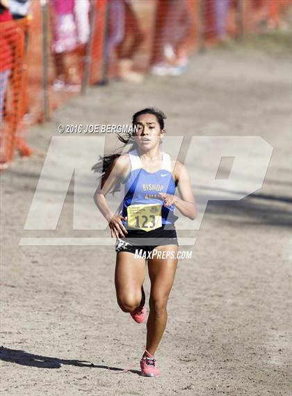 Thumbnail 3 in CIF State Cross Country Championships (D4 Girls Race) photogallery.