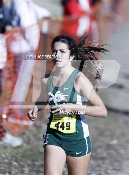 Thumbnail 1 in CIF State Cross Country Championships (D4 Girls Race) photogallery.