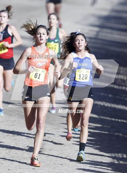 Thumbnail 3 in CIF State Cross Country Championships (D4 Girls Race) photogallery.