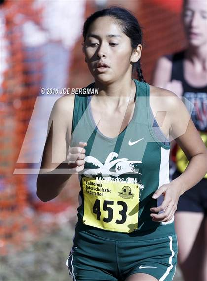 Thumbnail 2 in CIF State Cross Country Championships (D4 Girls Race) photogallery.