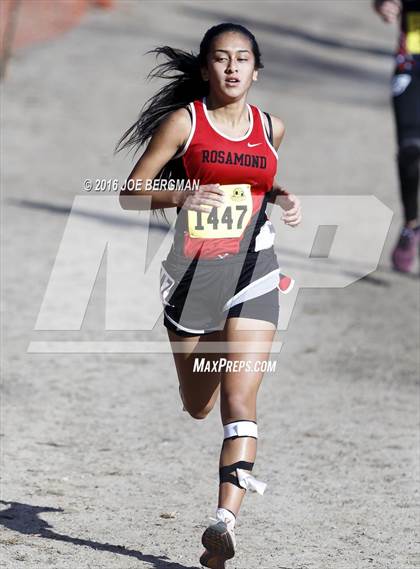 Thumbnail 3 in CIF State Cross Country Championships (D4 Girls Race) photogallery.