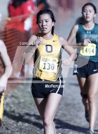 Thumbnail 1 in CIF State Cross Country Championships (D4 Girls Race) photogallery.