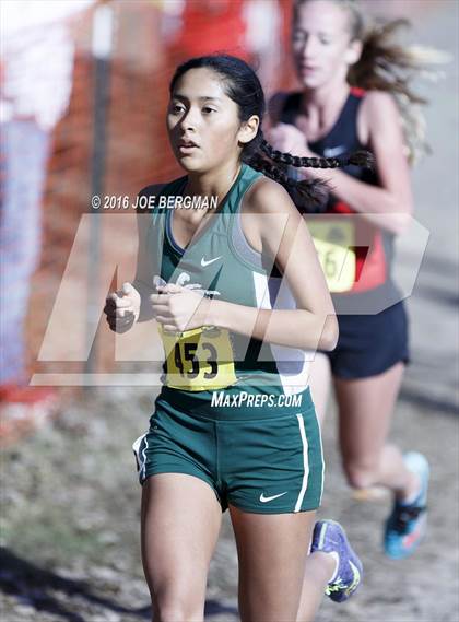 Thumbnail 1 in CIF State Cross Country Championships (D4 Girls Race) photogallery.