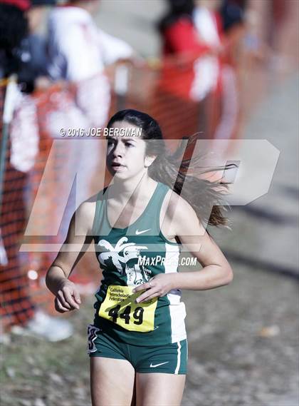 Thumbnail 2 in CIF State Cross Country Championships (D4 Girls Race) photogallery.