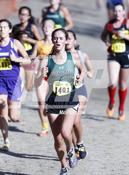 Thumbnail 3 in CIF State Cross Country Championships (D4 Girls Race) photogallery.