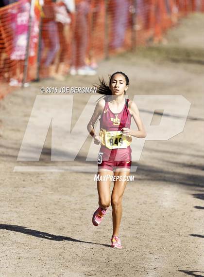 Thumbnail 2 in CIF State Cross Country Championships (D4 Girls Race) photogallery.