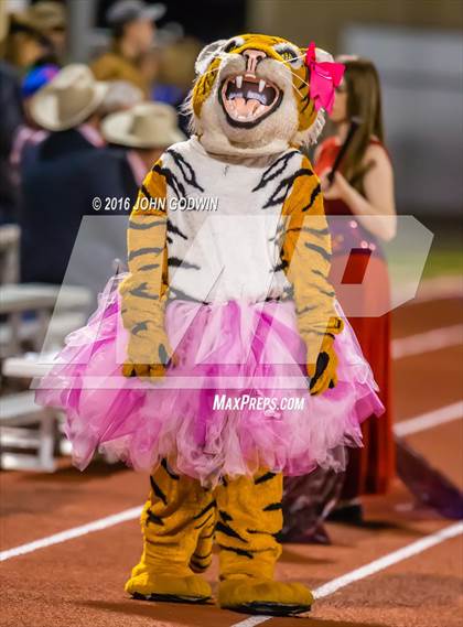 Thumbnail 1 in Brazos @ Tidehaven photogallery.