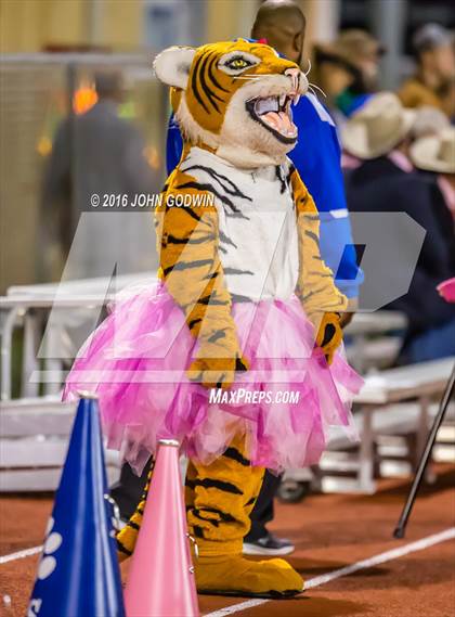 Thumbnail 3 in Brazos @ Tidehaven photogallery.