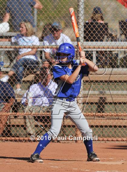 Thumbnail 2 in Chandler vs Cactus (Desert Mountain Softball Invitational) photogallery.