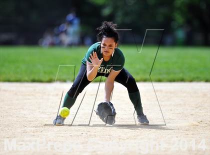Thumbnail 2 in Green @ Irving [Washington] photogallery.