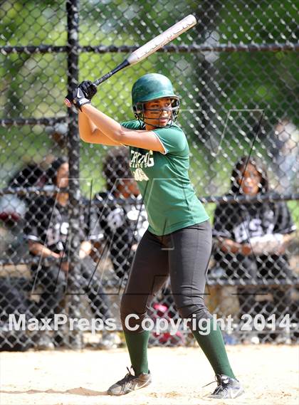 Thumbnail 3 in Green @ Irving [Washington] photogallery.