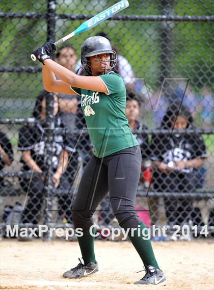 Thumbnail 3 in Green @ Irving [Washington] photogallery.