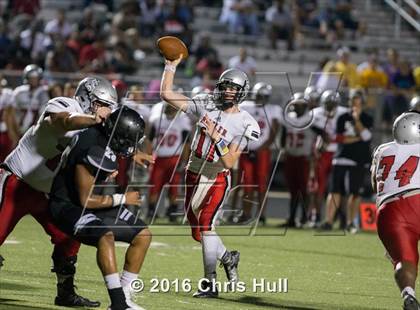 Thumbnail 1 in Butler @ Hough photogallery.