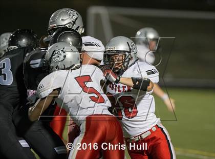 Thumbnail 2 in Butler @ Hough photogallery.