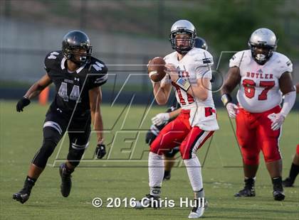 Thumbnail 2 in Butler @ Hough photogallery.