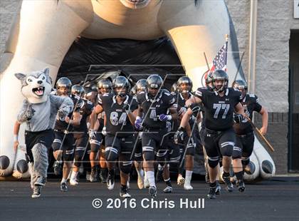Thumbnail 3 in Butler @ Hough photogallery.
