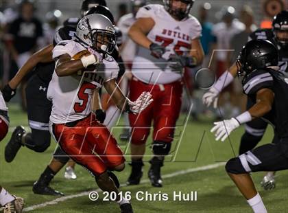 Thumbnail 2 in Butler @ Hough photogallery.