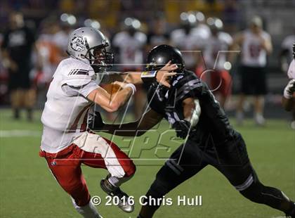 Thumbnail 3 in Butler @ Hough photogallery.
