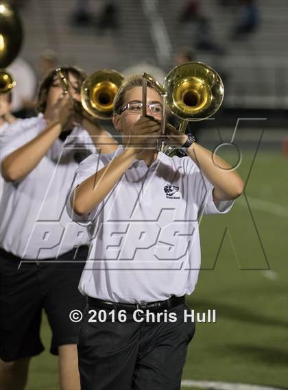 Thumbnail 3 in Butler @ Hough photogallery.