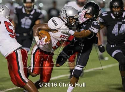 Thumbnail 3 in Butler @ Hough photogallery.