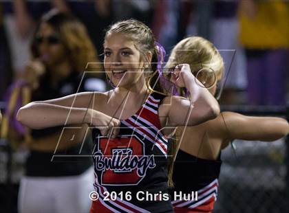 Thumbnail 1 in Butler @ Hough photogallery.