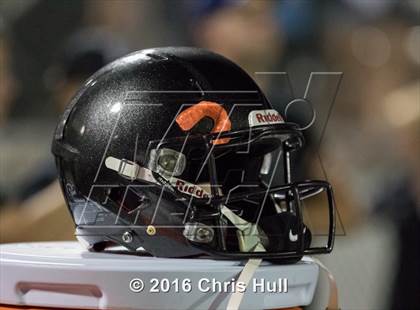 Thumbnail 1 in Butler @ Hough photogallery.