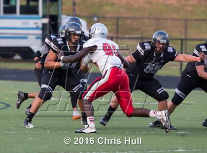 Thumbnail 2 in Butler @ Hough photogallery.