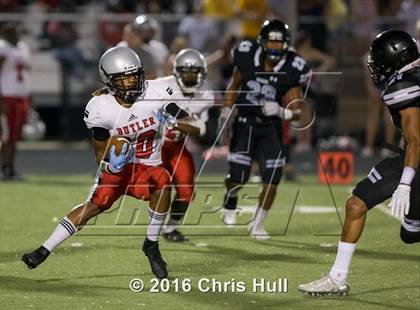 Thumbnail 2 in Butler @ Hough photogallery.